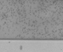 Cavitation near a surface