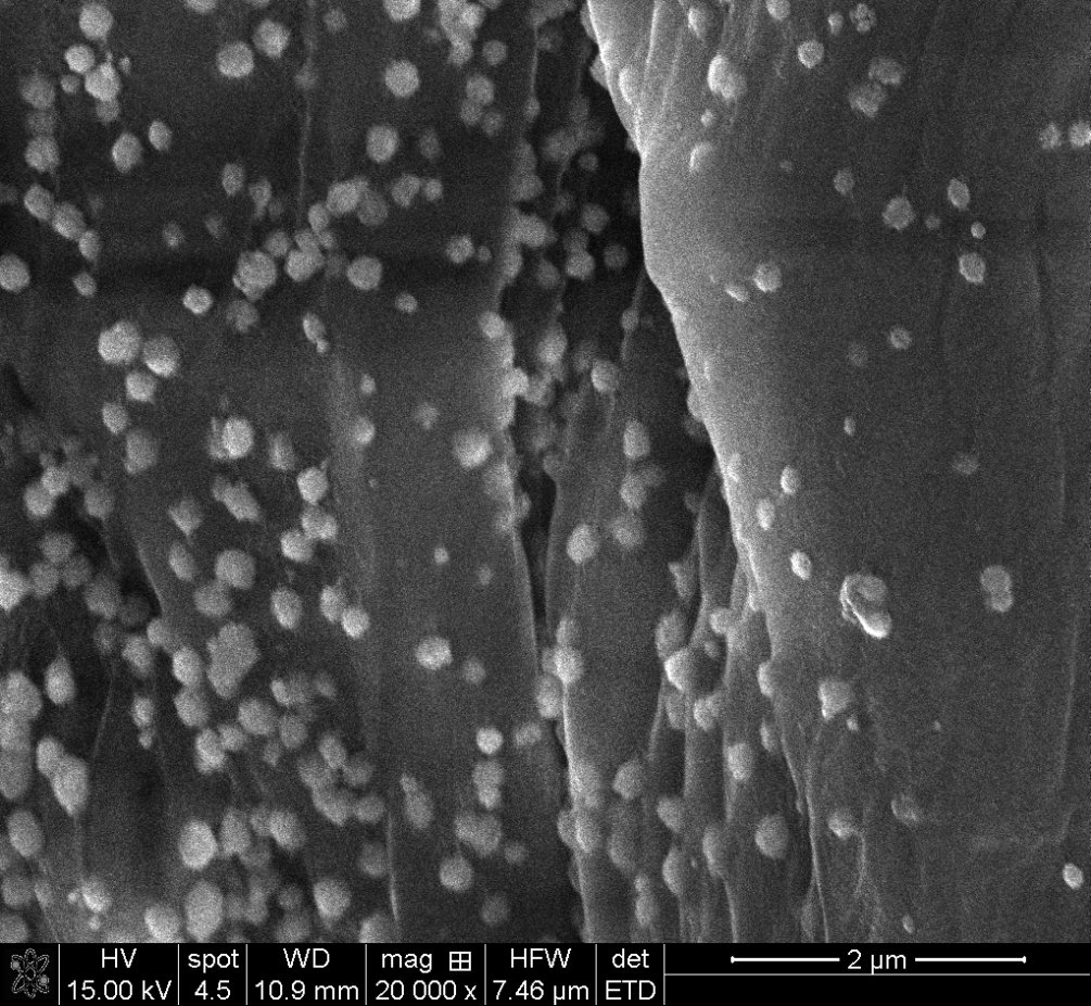 Electron microscope image of treated fibre